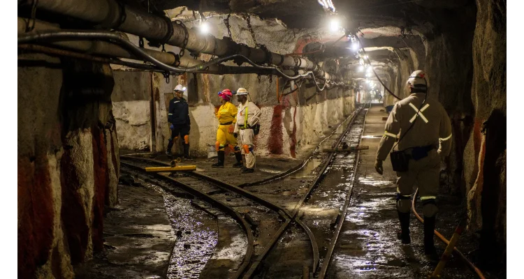 Artırılmış İş Sağlığı ve Güvenliği İçin İşçi-İşveren İşbirliği Projesi