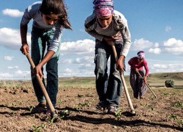 The Project to Elimination of Child Labour in Seasonal Agriculture Has Begun