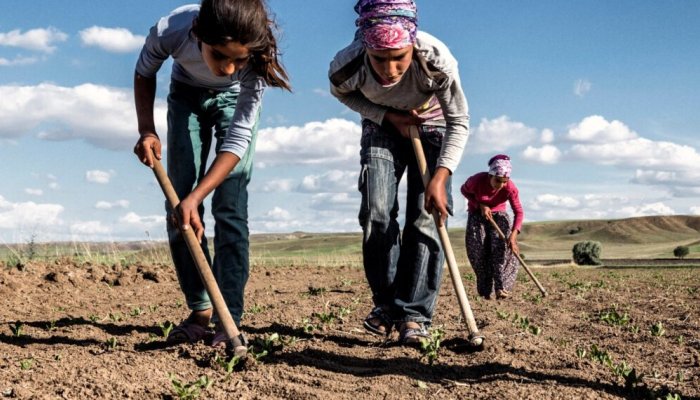 Mevsimlik Tarımda Çocuk İşçiliğinin Önlenmesi Projesi Başladı