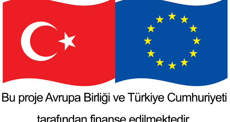 The Final Report of the “Active Participation of Civil Society in the Higher Education System” Project Has Been Published